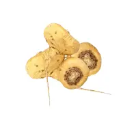 Maca Amarilla